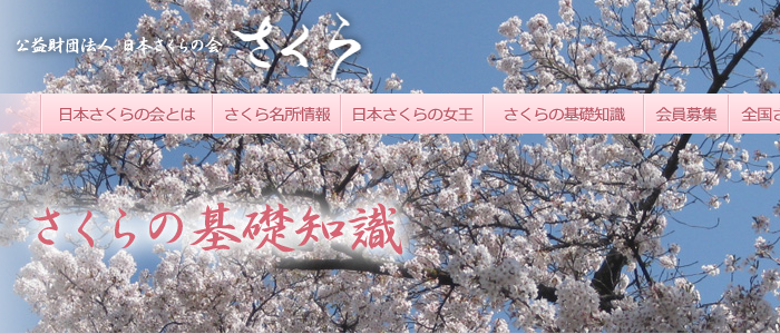 桜についての調べ学習に役立つサイト集